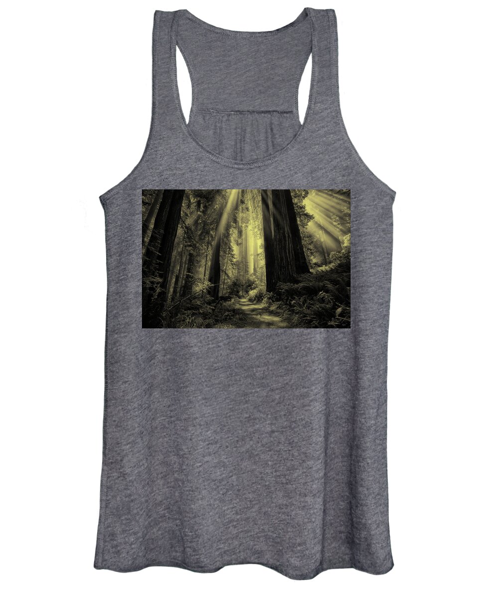 Redwood National Park Women's Tank Top featuring the photograph Forest Sunbeams Black and White by Greg Norrell