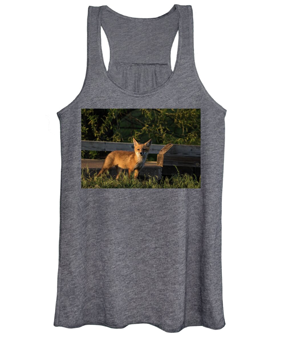 Jay Stockhaus Women's Tank Top featuring the photograph Fox 2 by Jay Stockhaus