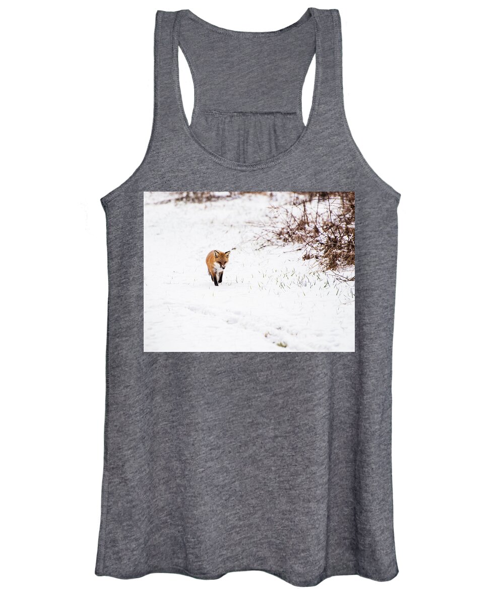 Animals Women's Tank Top featuring the photograph Fox 2 by Paul Ross