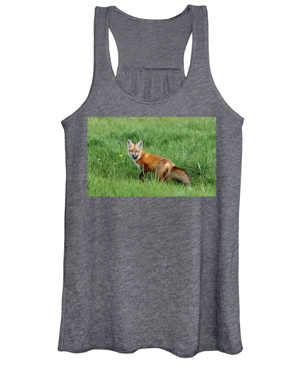 Fox Women's Tank Top featuring the photograph Fox by Ronnie And Frances Howard