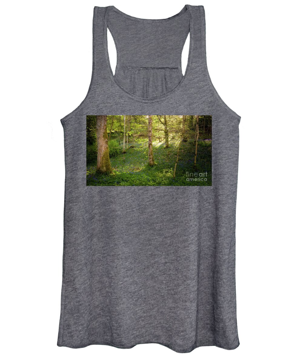 Bolton Abbey Women's Tank Top featuring the photograph Golden hour in the woods by Mariusz Talarek