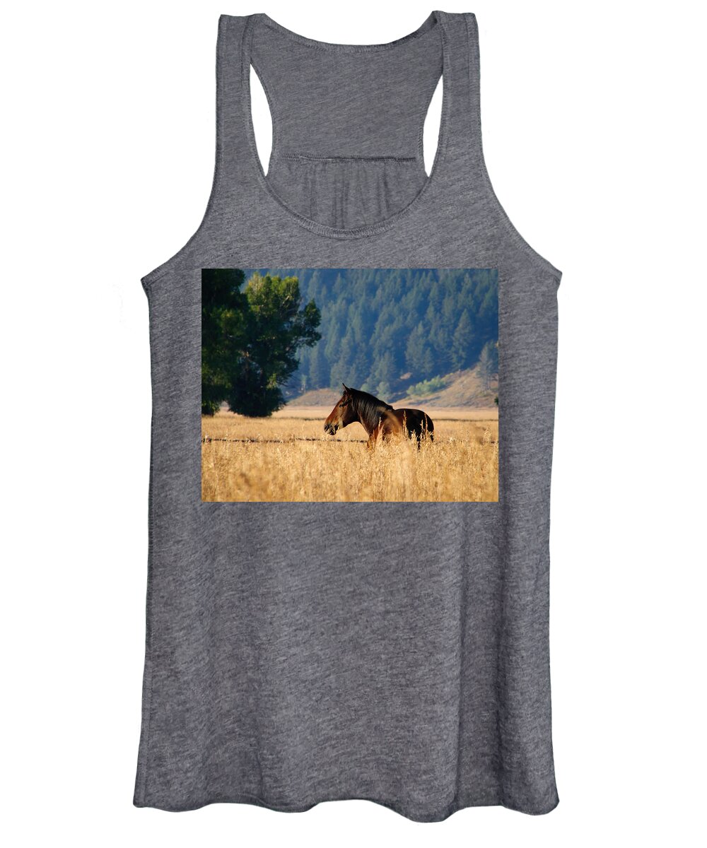 Sunrise Women's Tank Top featuring the photograph Golden Sunrise on a Horse by Roberta Kayne