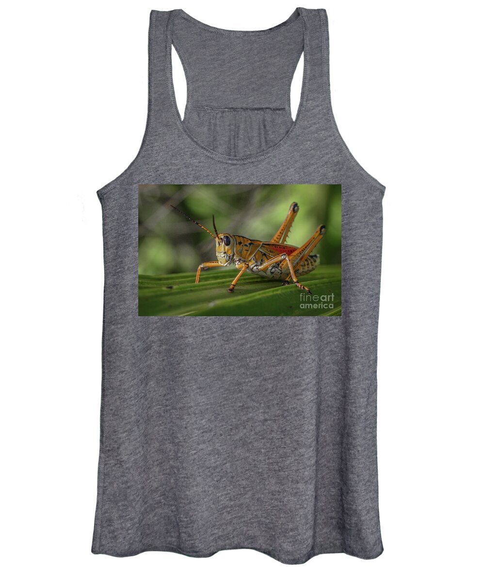 Grasshopper Women's Tank Top featuring the photograph Grasshopper and Palm Frond by Tom Claud