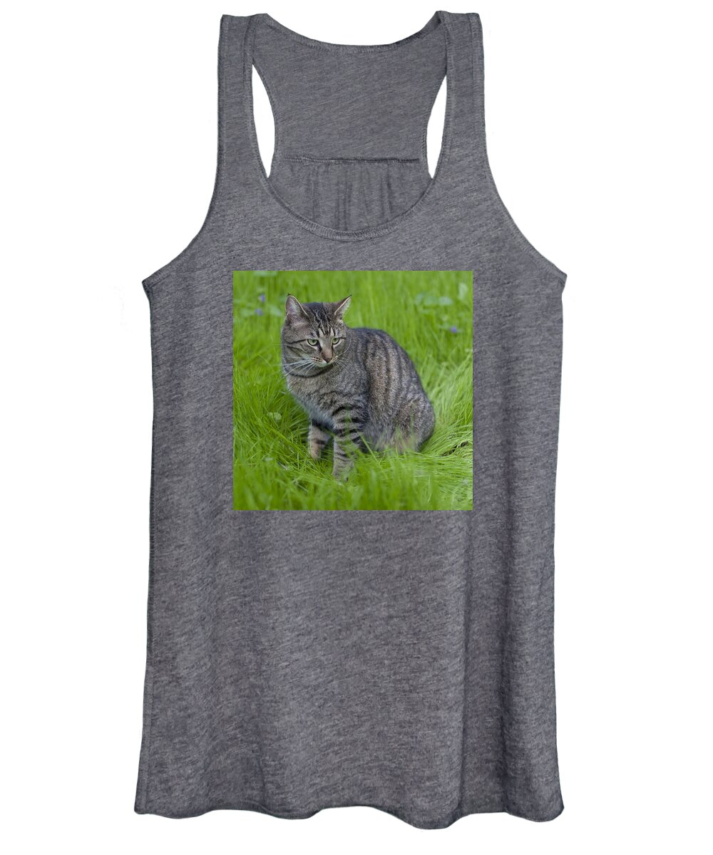 Cat Women's Tank Top featuring the photograph Gray Cat in Vivid Green Grass by John Harmon