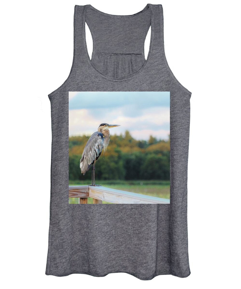 Concord Women's Tank Top featuring the photograph Great Blue Great View Great Meadows by Sylvia J Zarco