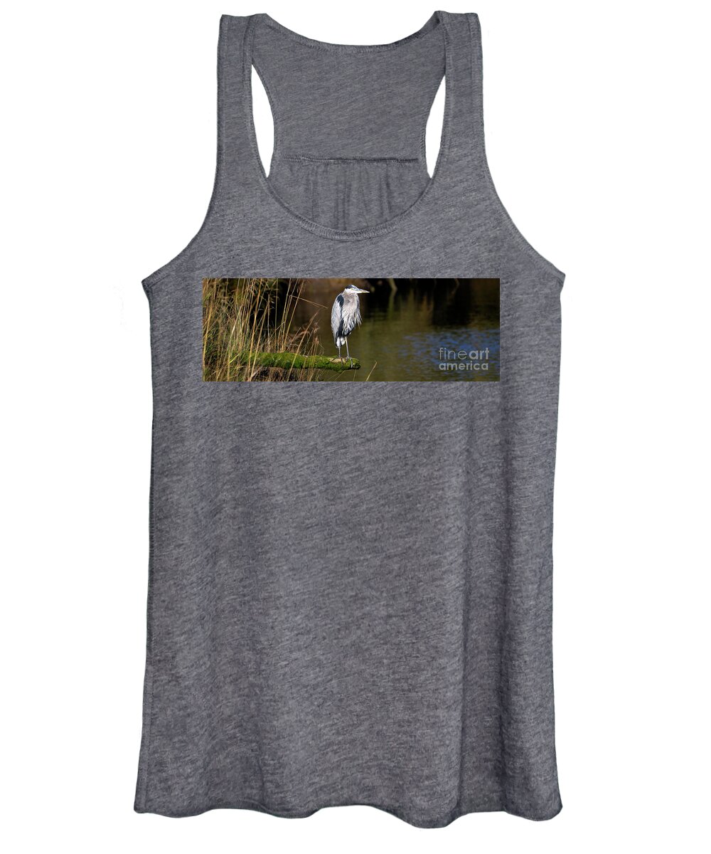 Denise Bruchman Women's Tank Top featuring the photograph Great Blue Heron on a Log by Denise Bruchman