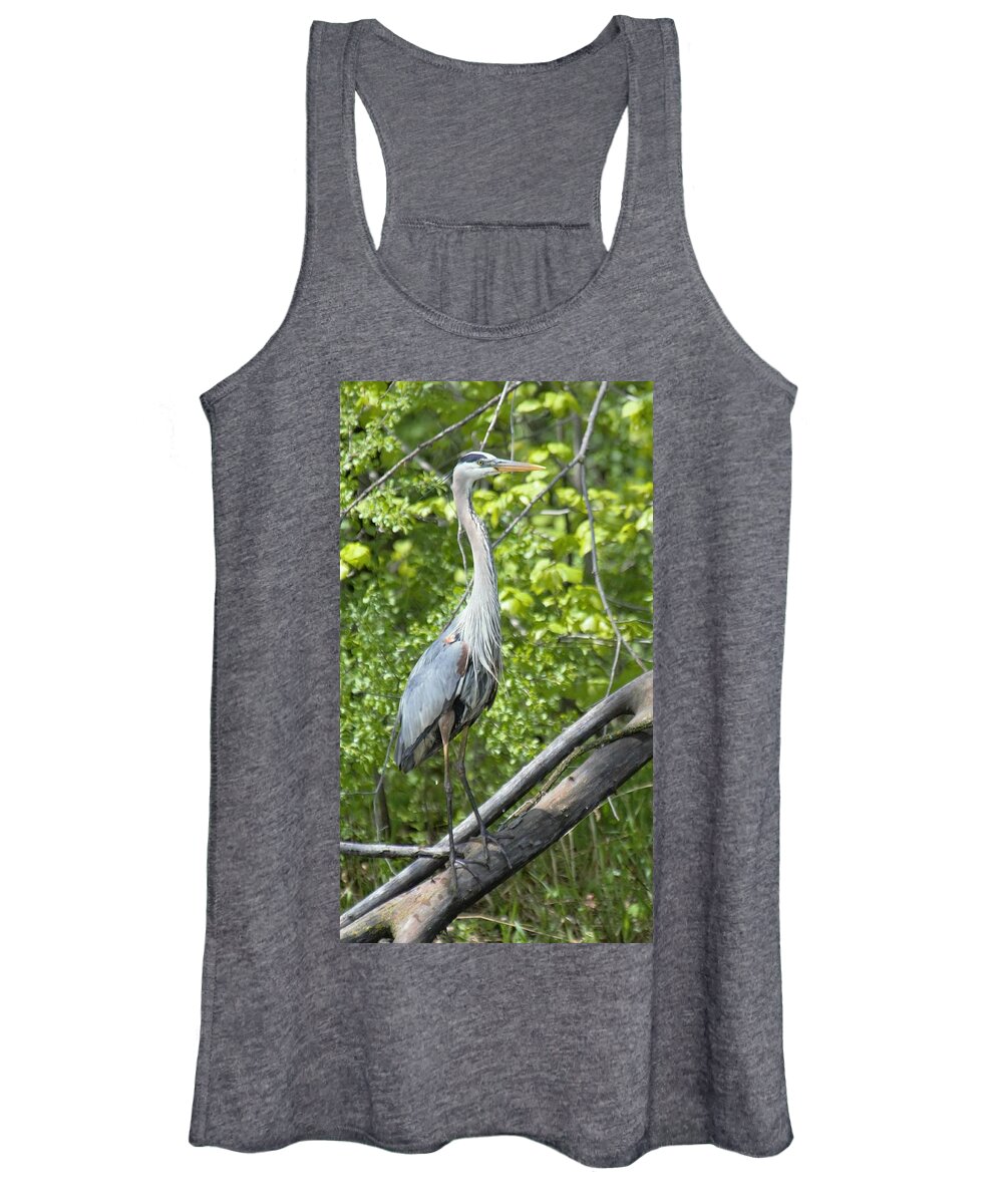 Great Blue Heron Women's Tank Top featuring the photograph Great Blue Heron Pose by Michael Hall