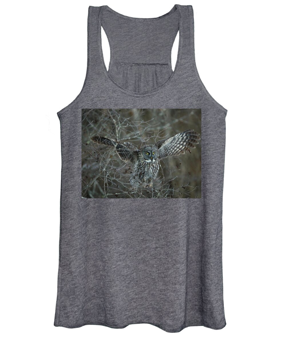 Owl Women's Tank Top featuring the photograph Great Gray Landing by Duane Cross