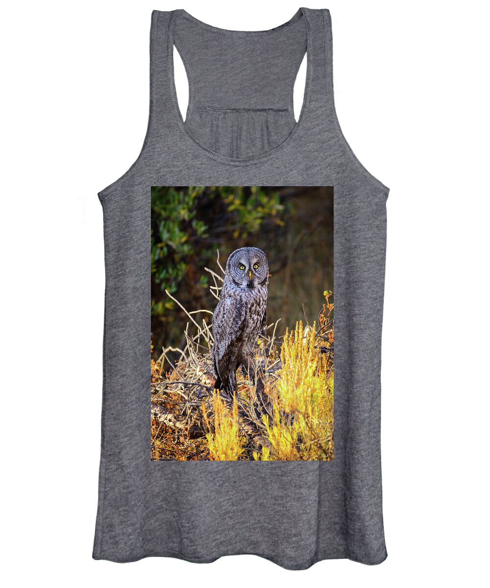 Great Grey Owl Women's Tank Top featuring the photograph Great Grey Owl Portrait by Greg Norrell