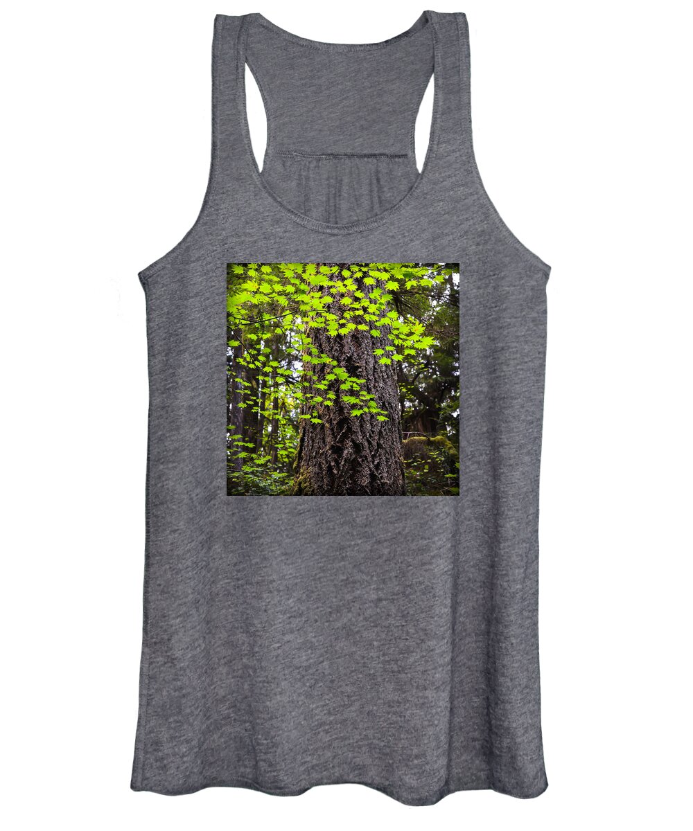 Forest Women's Tank Top featuring the photograph Green Leaves by Ronda Broatch