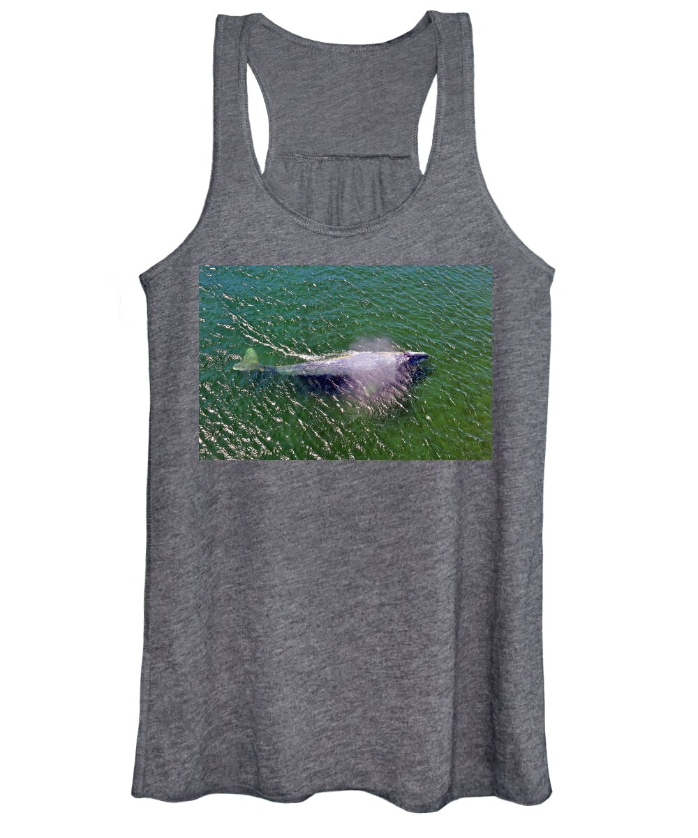 Photograph Women's Tank Top featuring the photograph Grey Whale by Richard Gehlbach