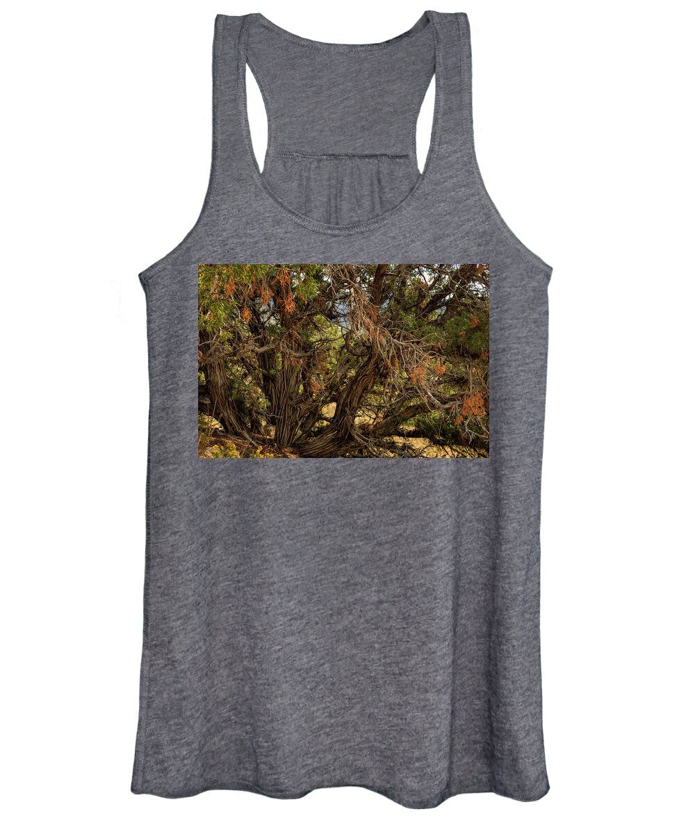 Nature Women's Tank Top featuring the photograph Halloween Tree by Michael McKenney
