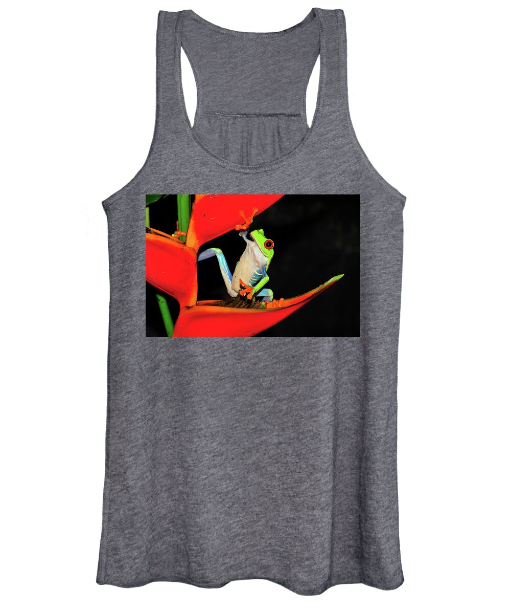 Frog Framed Prints Women's Tank Top featuring the photograph Happy Frog by Harry Spitz