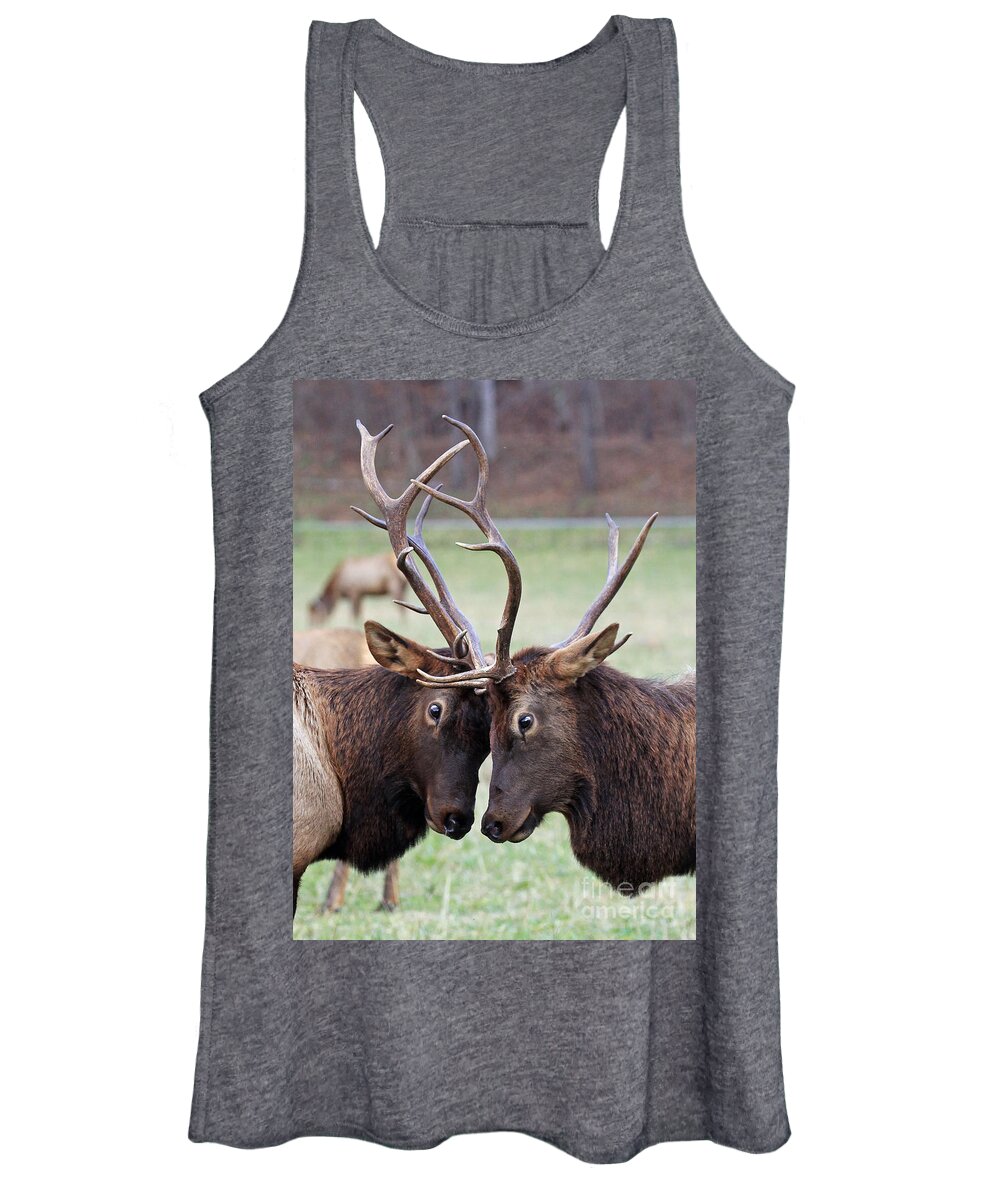 Bull Women's Tank Top featuring the photograph Head to Head by Jennifer Robin