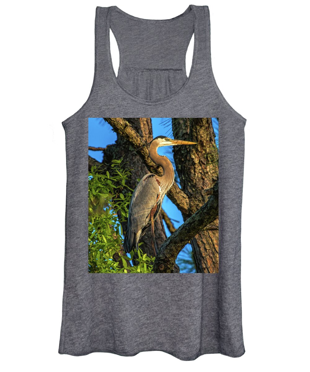 Pine Tree Women's Tank Top featuring the photograph Heron in the Pine Tree by Dorothy Cunningham