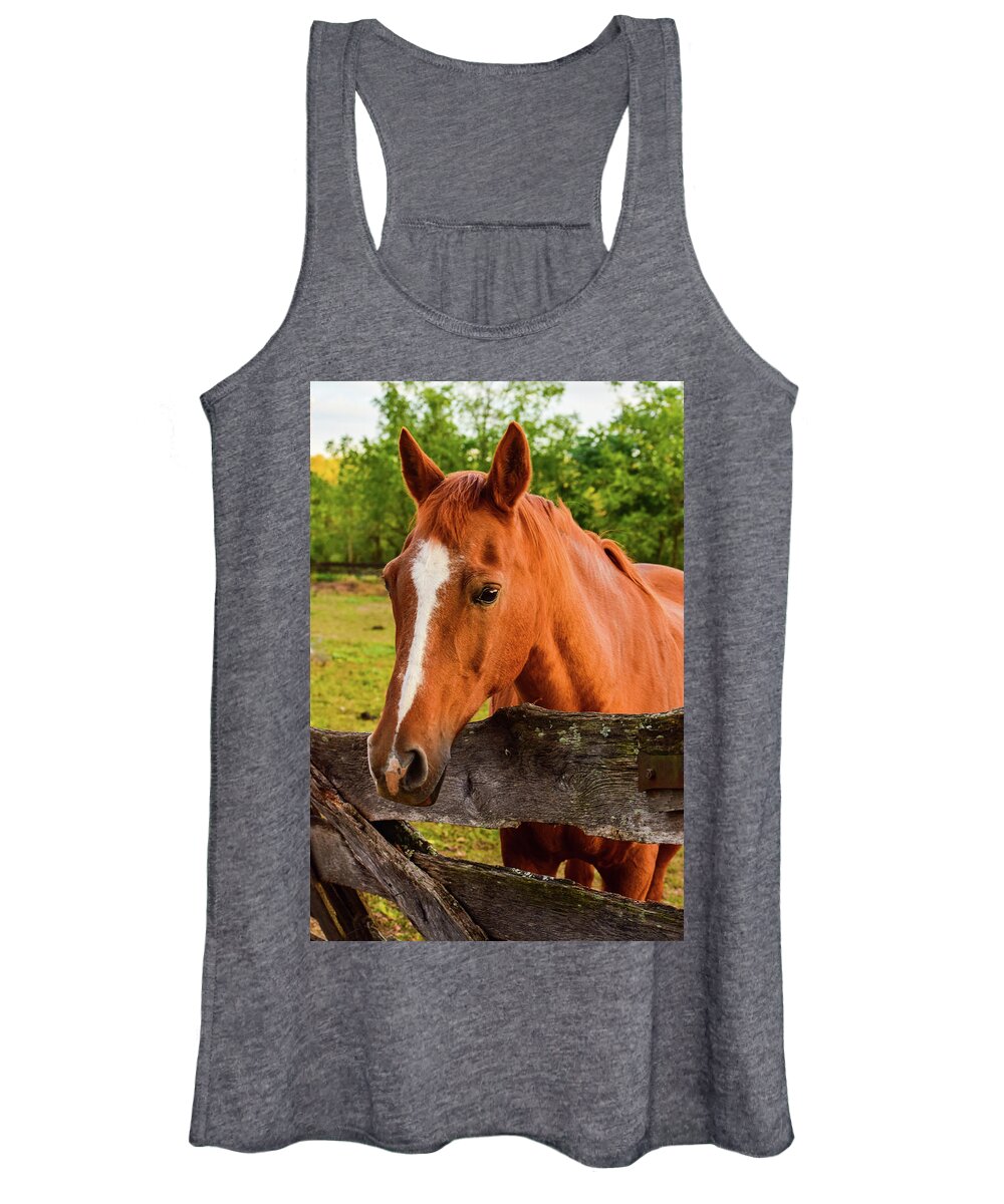 Horse Women's Tank Top featuring the photograph Horse Friends by Nicole Lloyd