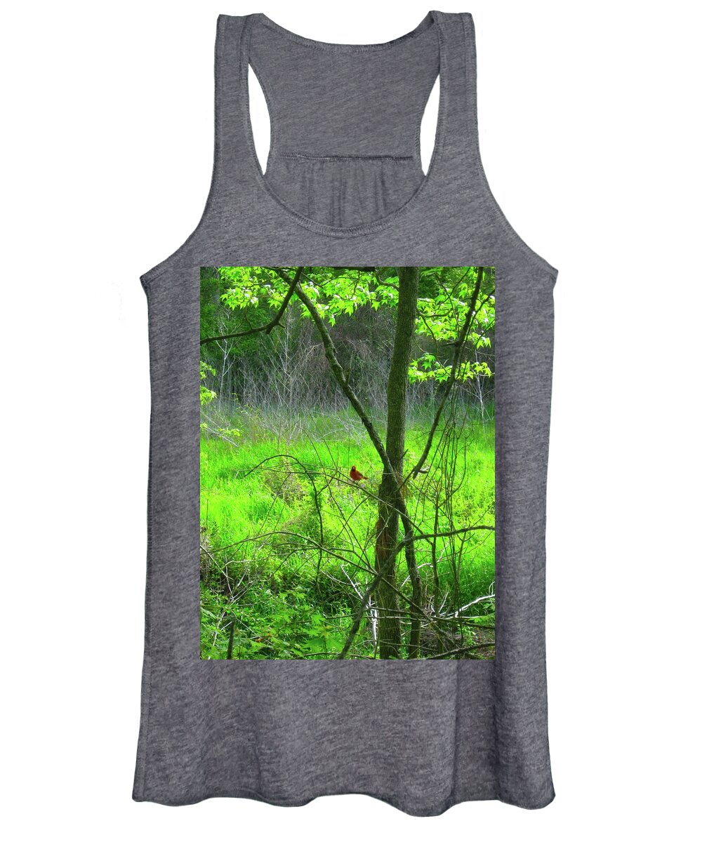 Cardinal Women's Tank Top featuring the photograph Hubbub among the Branches by Judith Lauter