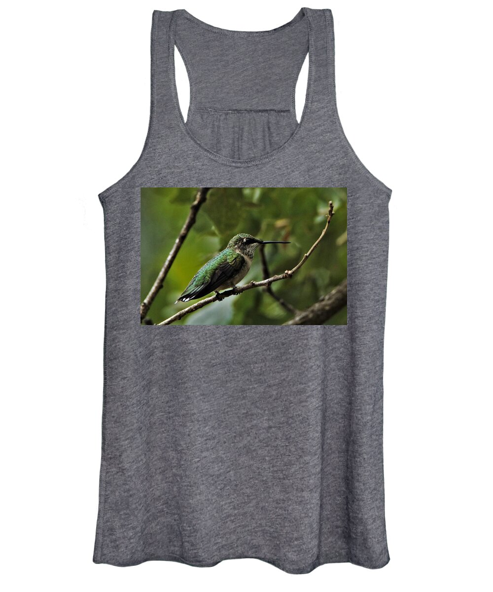 Nature Women's Tank Top featuring the photograph Hummingbird on Branch by Sheila Brown