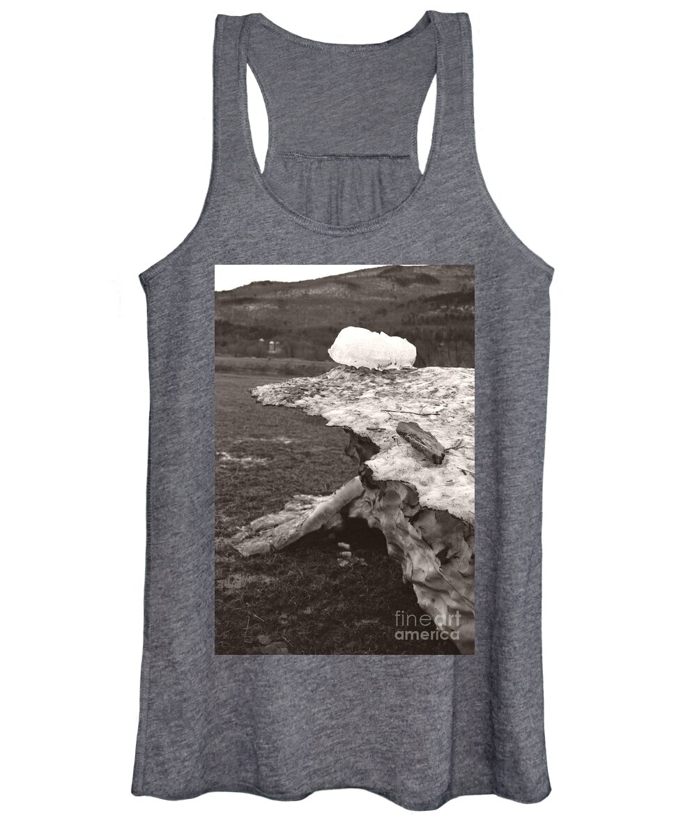  Women's Tank Top featuring the photograph Iceberg Silo by Heather Kirk