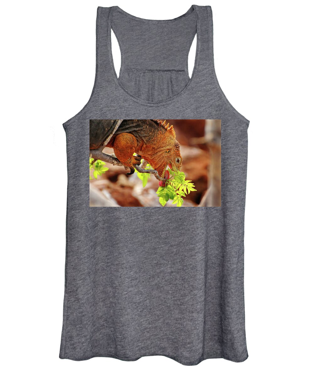 Iguana Women's Tank Top featuring the photograph Iguana Lunch by Ted Keller