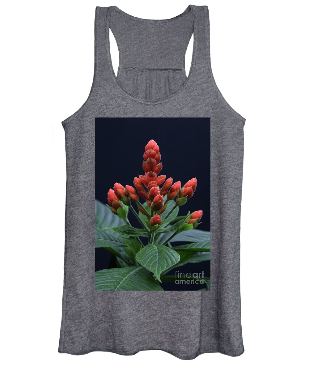 Plant Women's Tank Top featuring the photograph Illuminated by Tiffany Whisler
