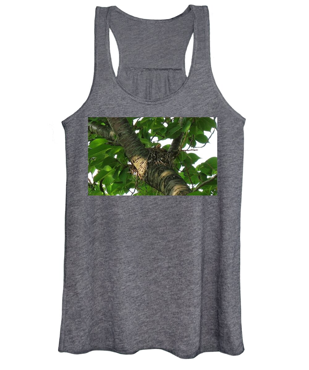 Birds Women's Tank Top featuring the photograph I'm Hungry by Ed Smith