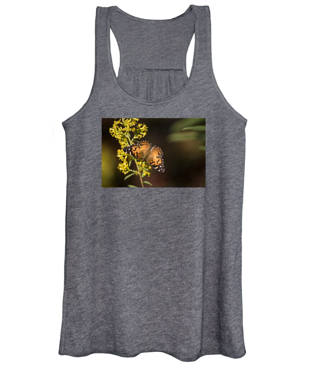 Butterflies Women's Tank Top featuring the photograph In Search of Nectar by Robert Potts