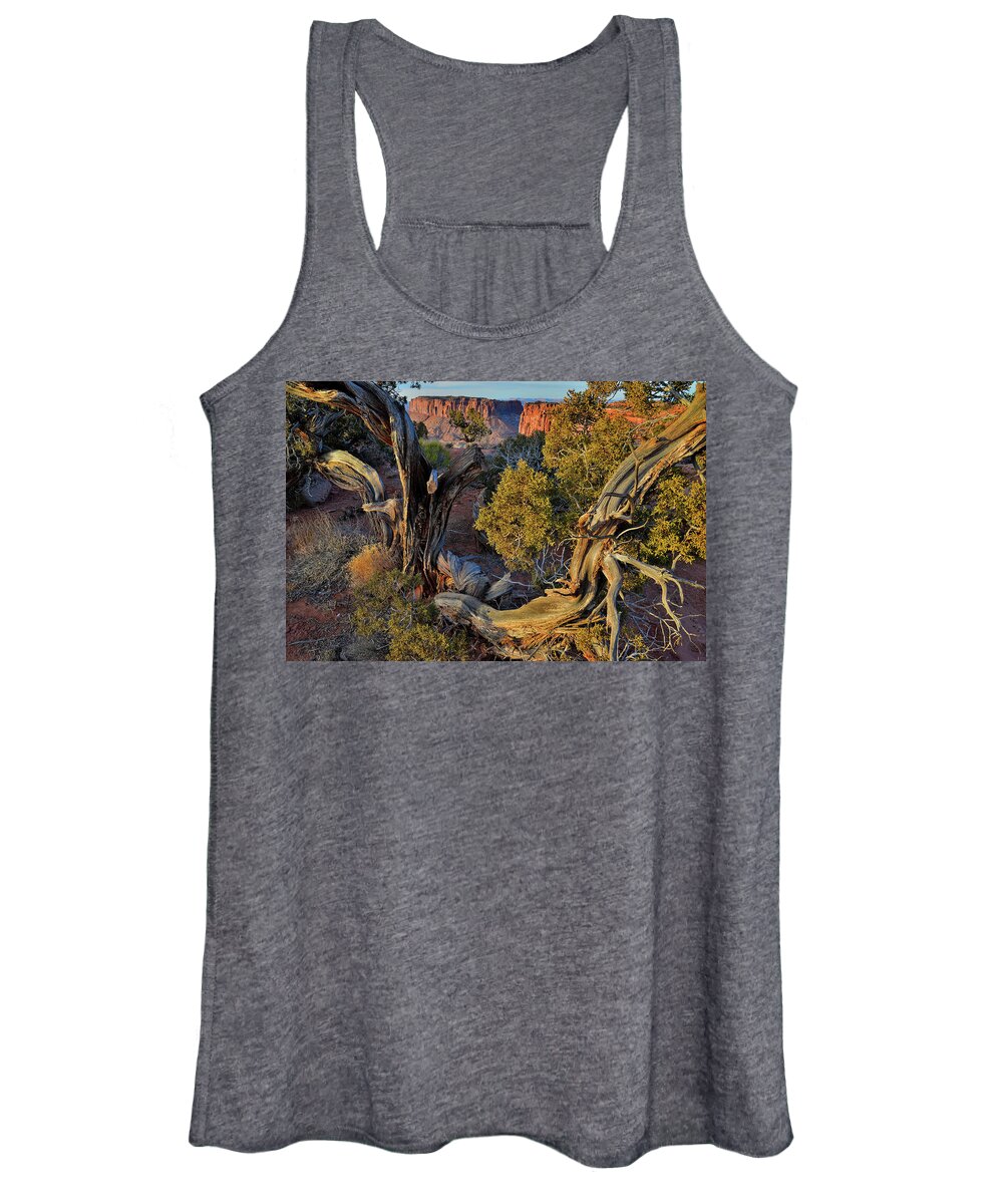 Canyonlands National Park Women's Tank Top featuring the photograph Junction Butte through Juniper Tree at Grand View Point - Canyonlands NP by Ray Mathis