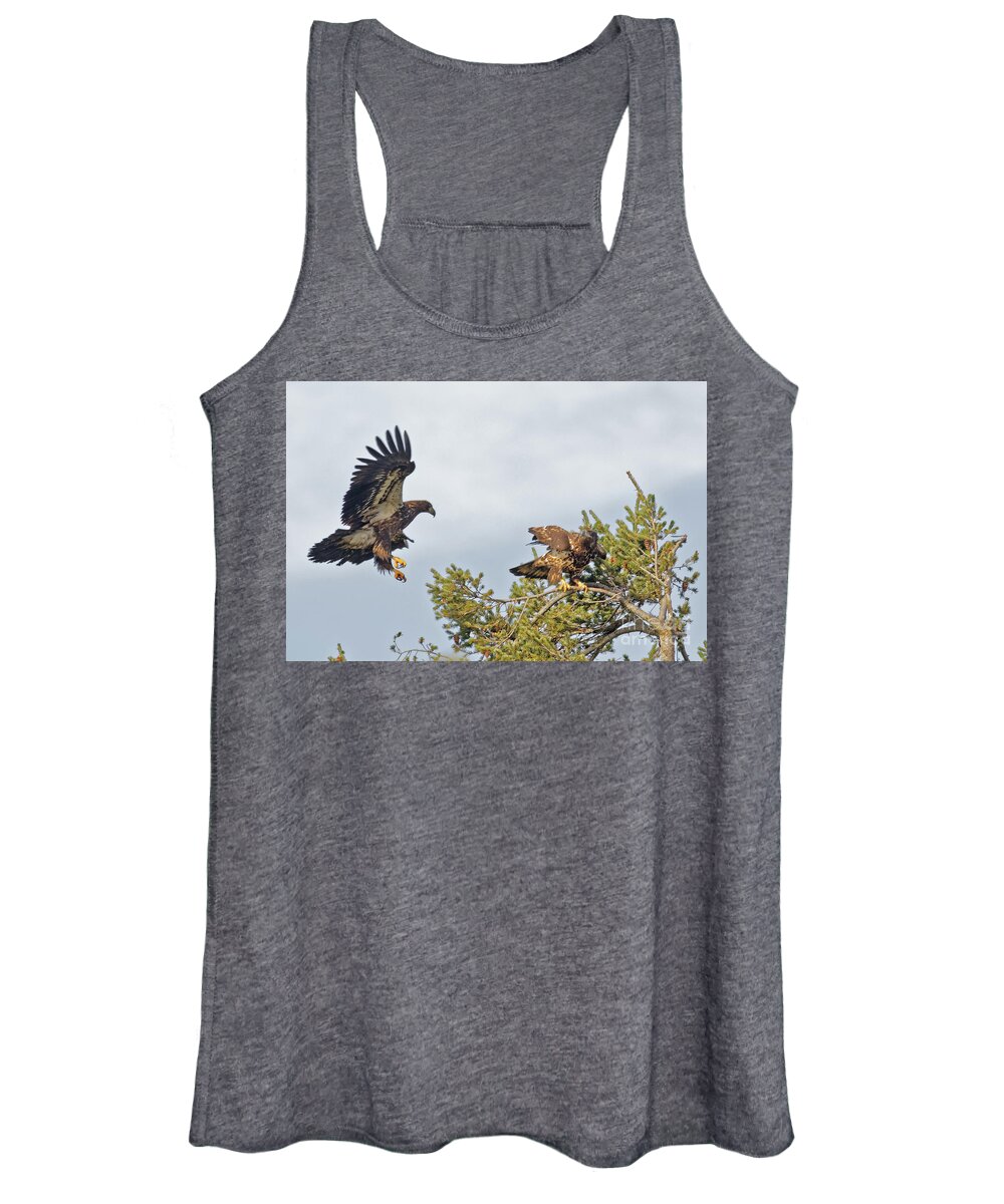 American Bald Eagle Women's Tank Top featuring the photograph Juvenile Bald Eagles High in the Pines by Natural Focal Point Photography