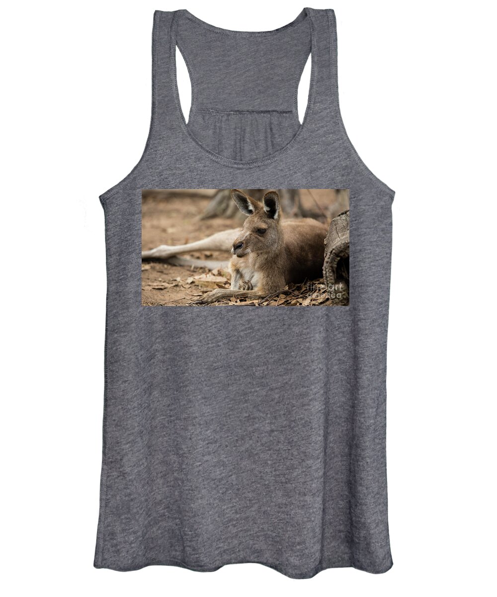 Australia Women's Tank Top featuring the photograph Kangaroo by Agnes Caruso