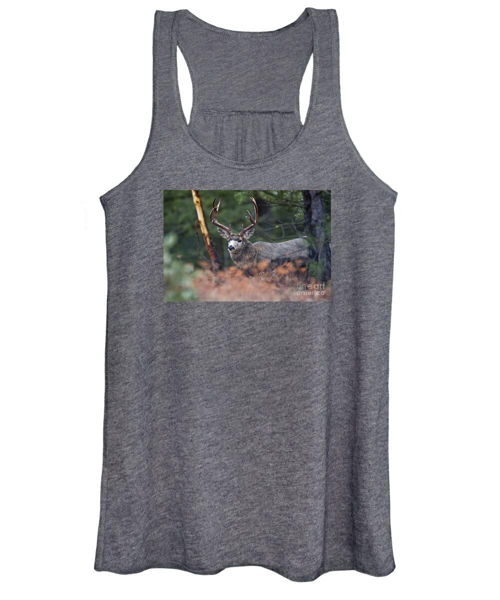 Deer Women's Tank Top featuring the photograph King Behind the Rub by Douglas Kikendall