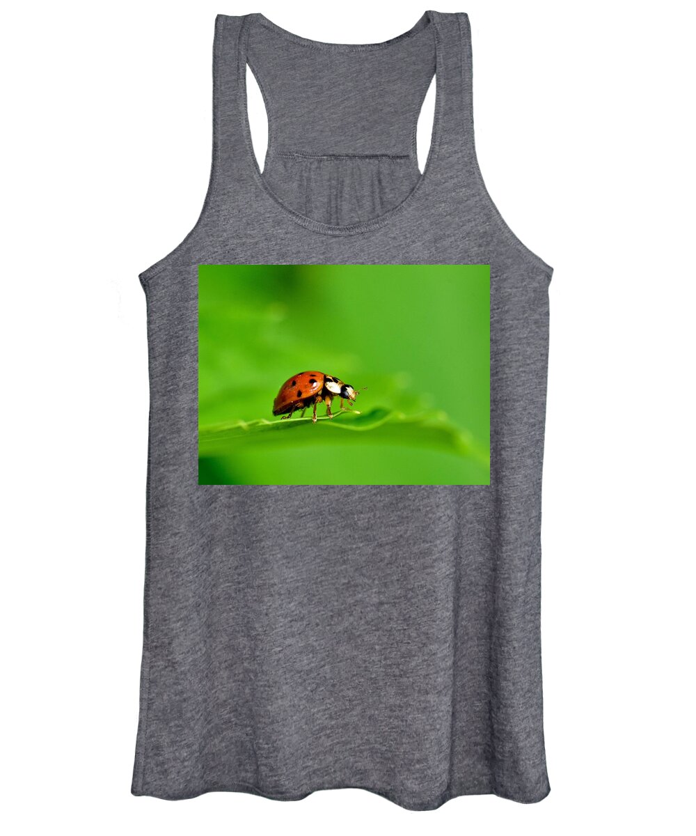 Wall Art Women's Tank Top featuring the photograph Lady Bug by Jeffrey PERKINS