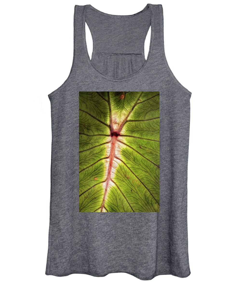 Leaf Women's Tank Top featuring the photograph Leaf with Veins by Don Johnson