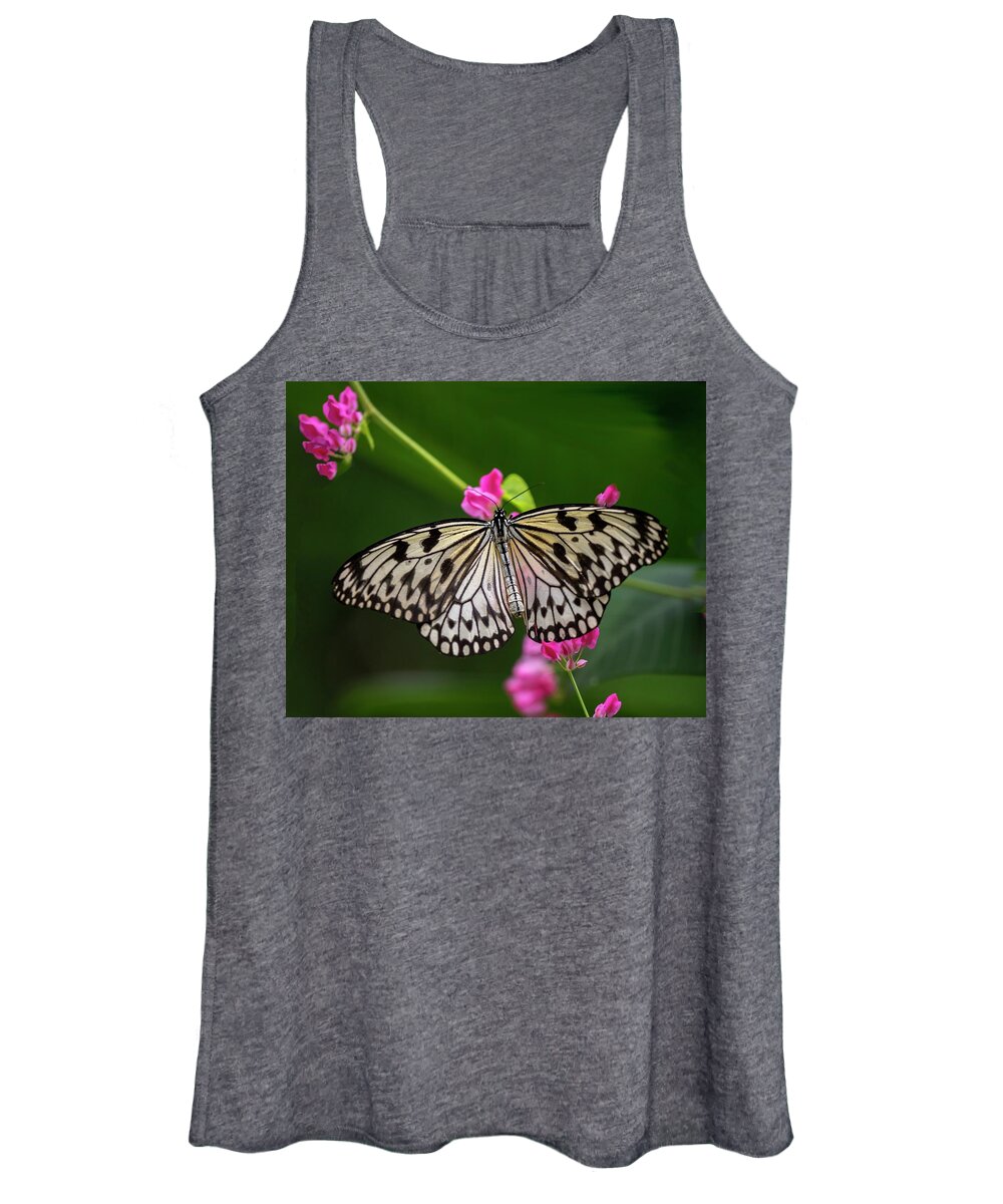 Butterfly Women's Tank Top featuring the photograph Leisurely Lunch by Harriet Feagin