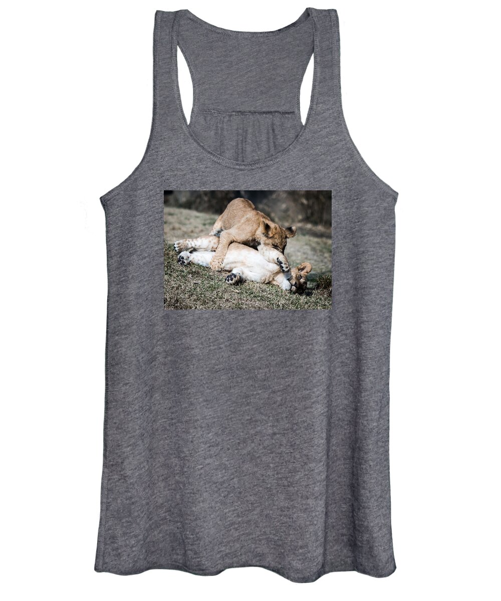 Lion Women's Tank Top featuring the photograph Lion Cubs at Play by Cathy Donohoue