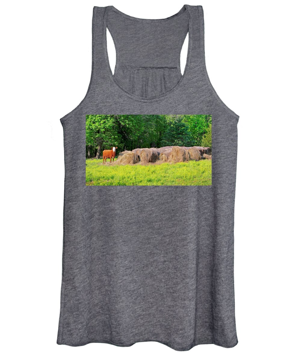 Cow Pictures Women's Tank Top featuring the photograph Lone Cow Guard, Smith Mountain Lake by The James Roney Collection