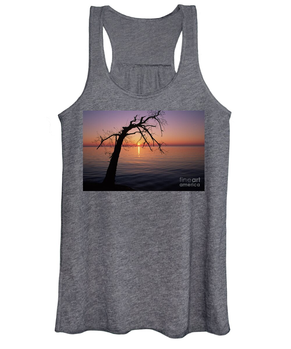 Lone Women's Tank Top featuring the photograph Lone tree at dusk by Riccardo Mottola