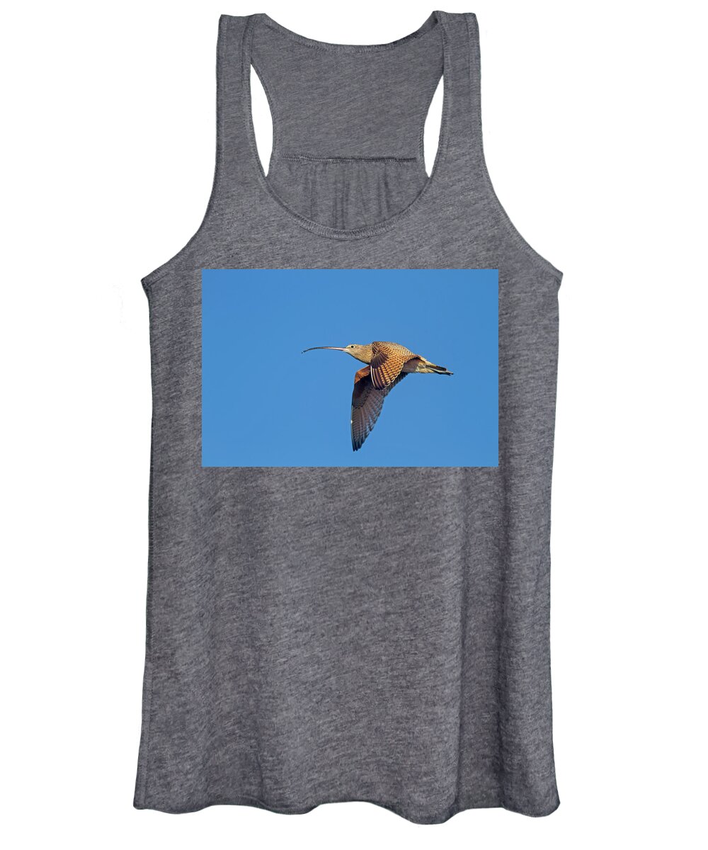 Long-billed Curley Women's Tank Top featuring the photograph Long-billed Curlew in Flight by Mark Miller