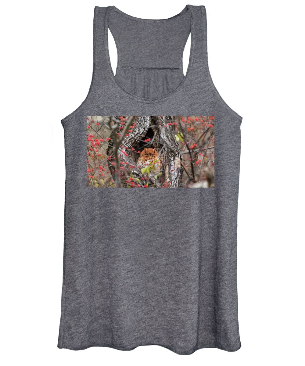 Owl Women's Tank Top featuring the photograph Long Winter's Nap... by Holly Ross