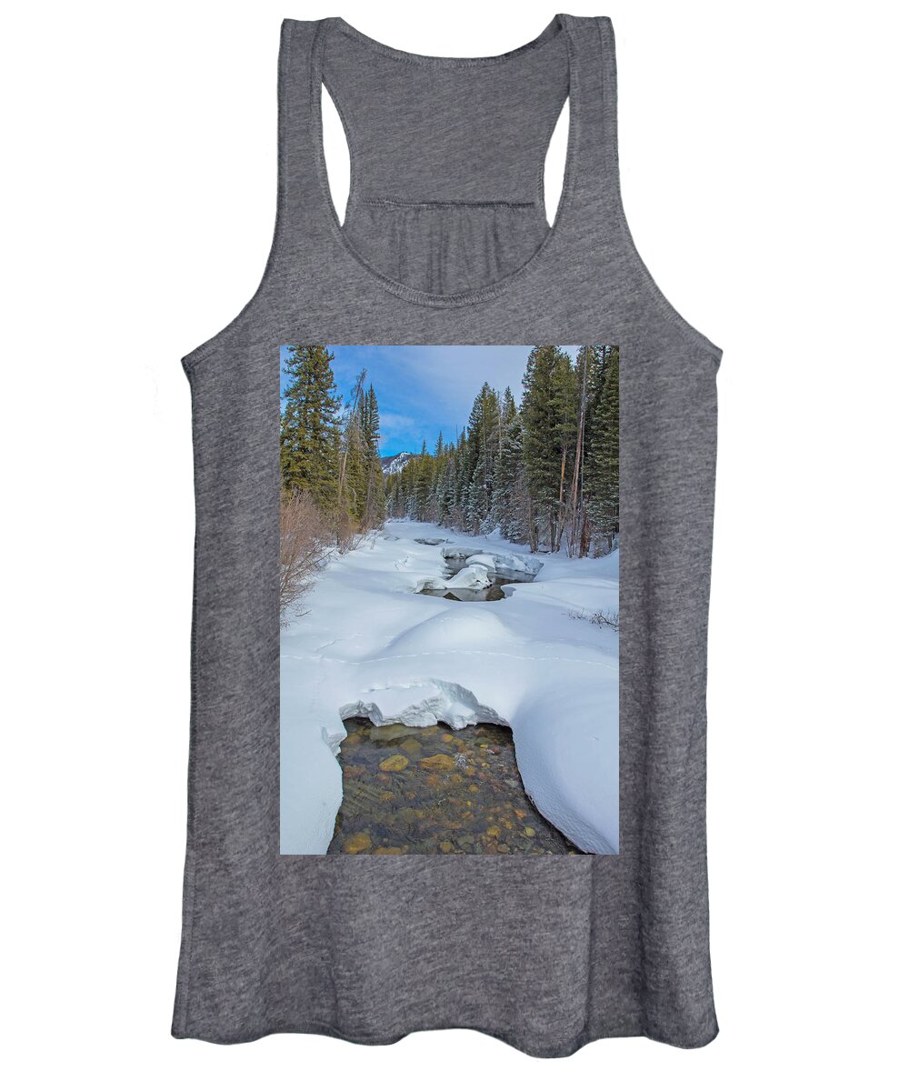 Mountain Women's Tank Top featuring the photograph Looking Down the Elk by Sean Allen