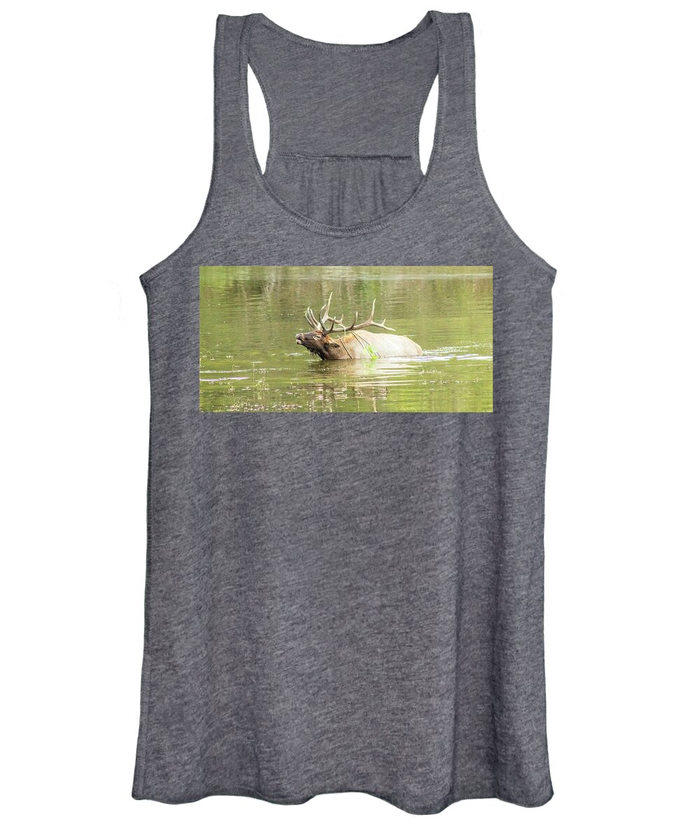 Elk Women's Tank Top featuring the photograph Love Songs by Holly Ross