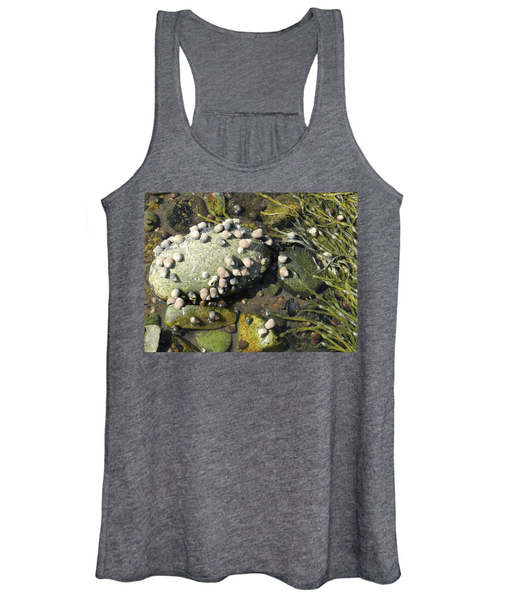 Life At Low Tide For An Hour Or Two.  Women's Tank Top featuring the photograph Low Tide Snails by Deborah Ferree