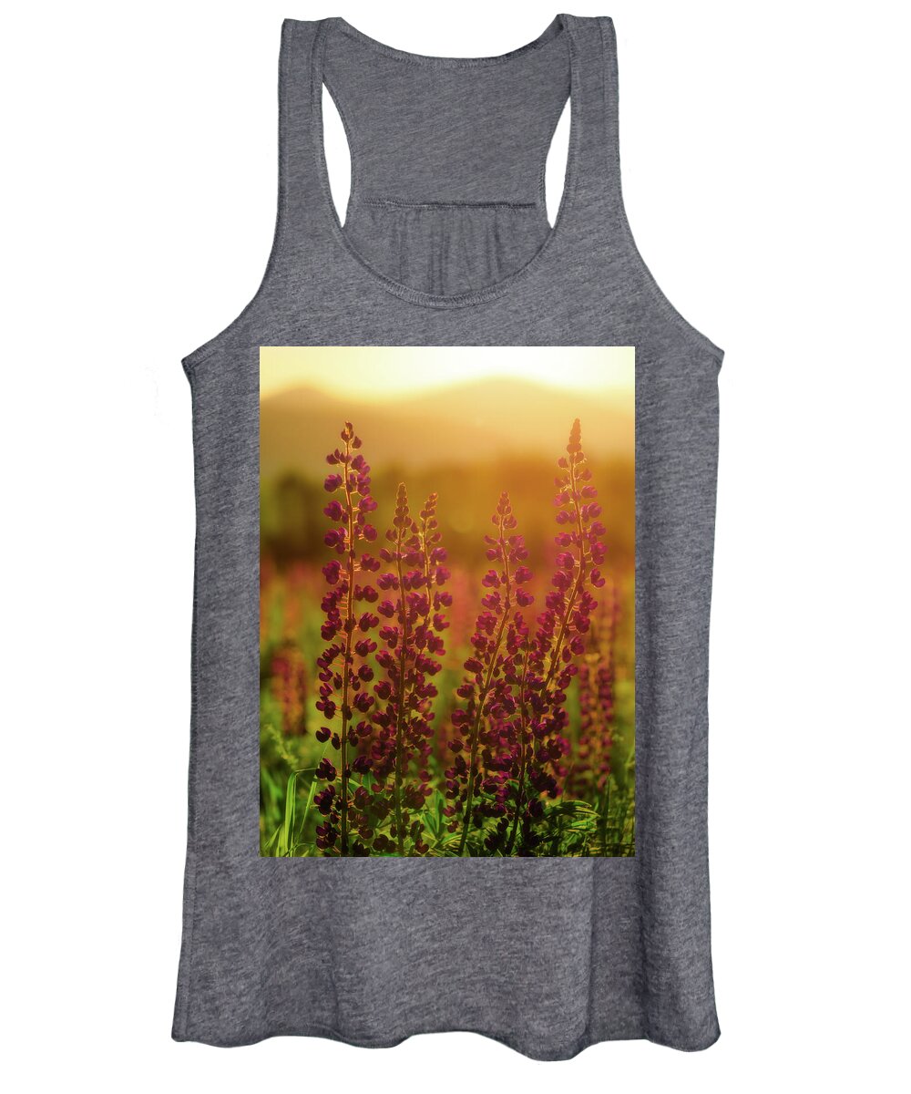 New Hampshire Women's Tank Top featuring the photograph Lupines at Dawn by Rob Davies