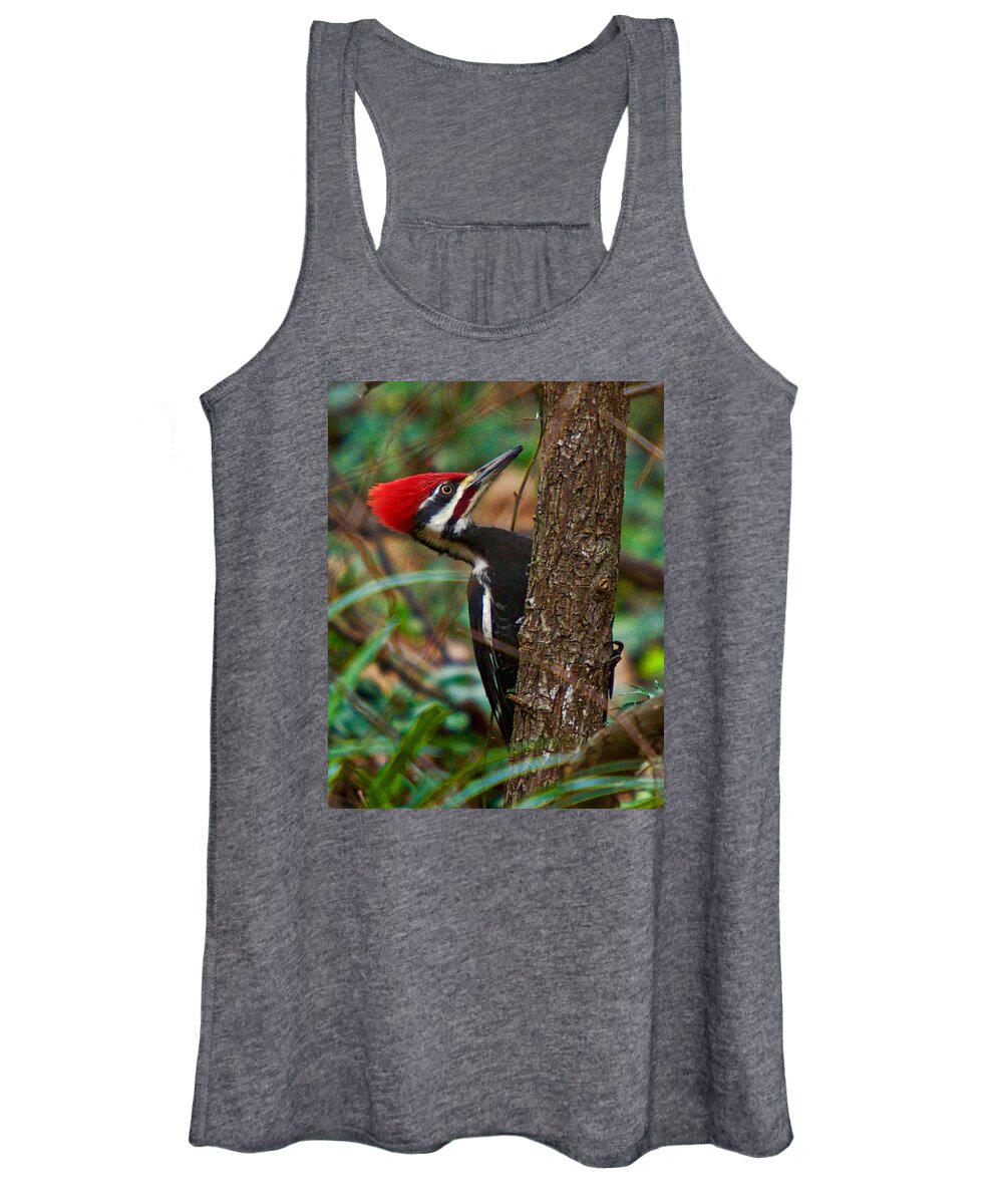 Pileated Woodpecker Women's Tank Top featuring the photograph Male Pileated WoodPecker by Robert L Jackson