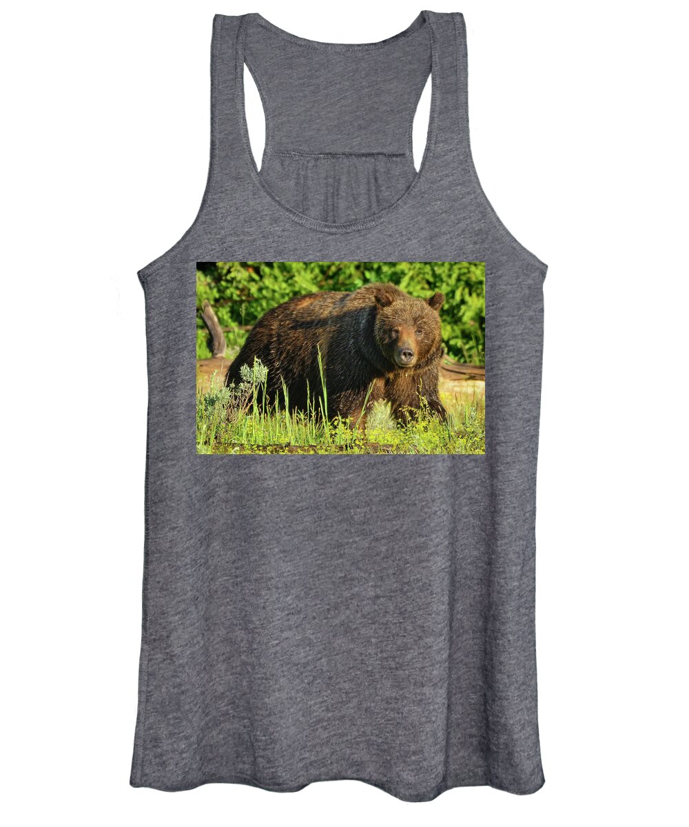 Grizzly Women's Tank Top featuring the photograph Mama Bear by Greg Norrell
