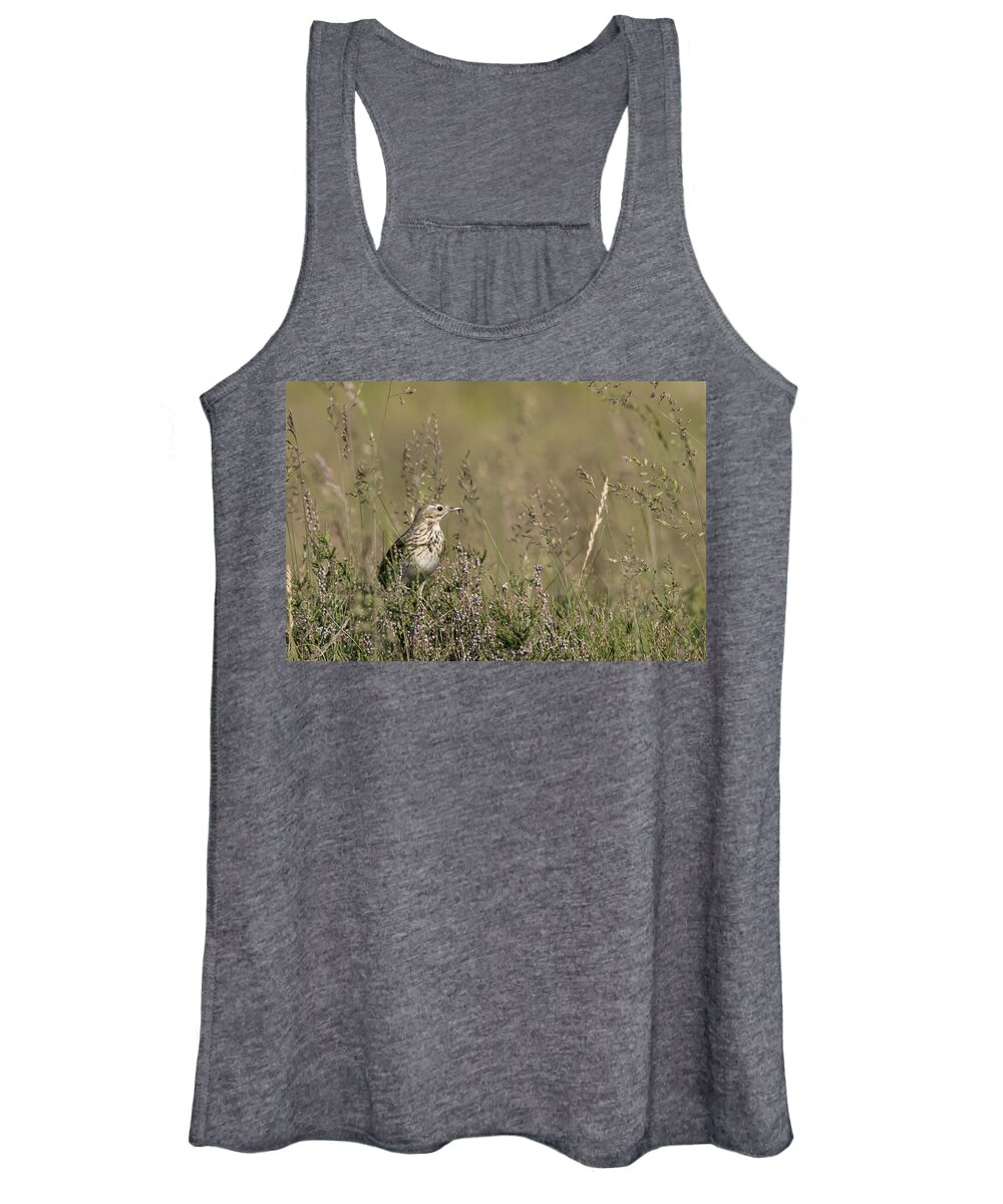 ©wendy Cooper Women's Tank Top featuring the photograph Meadow Pipit by Wendy Cooper