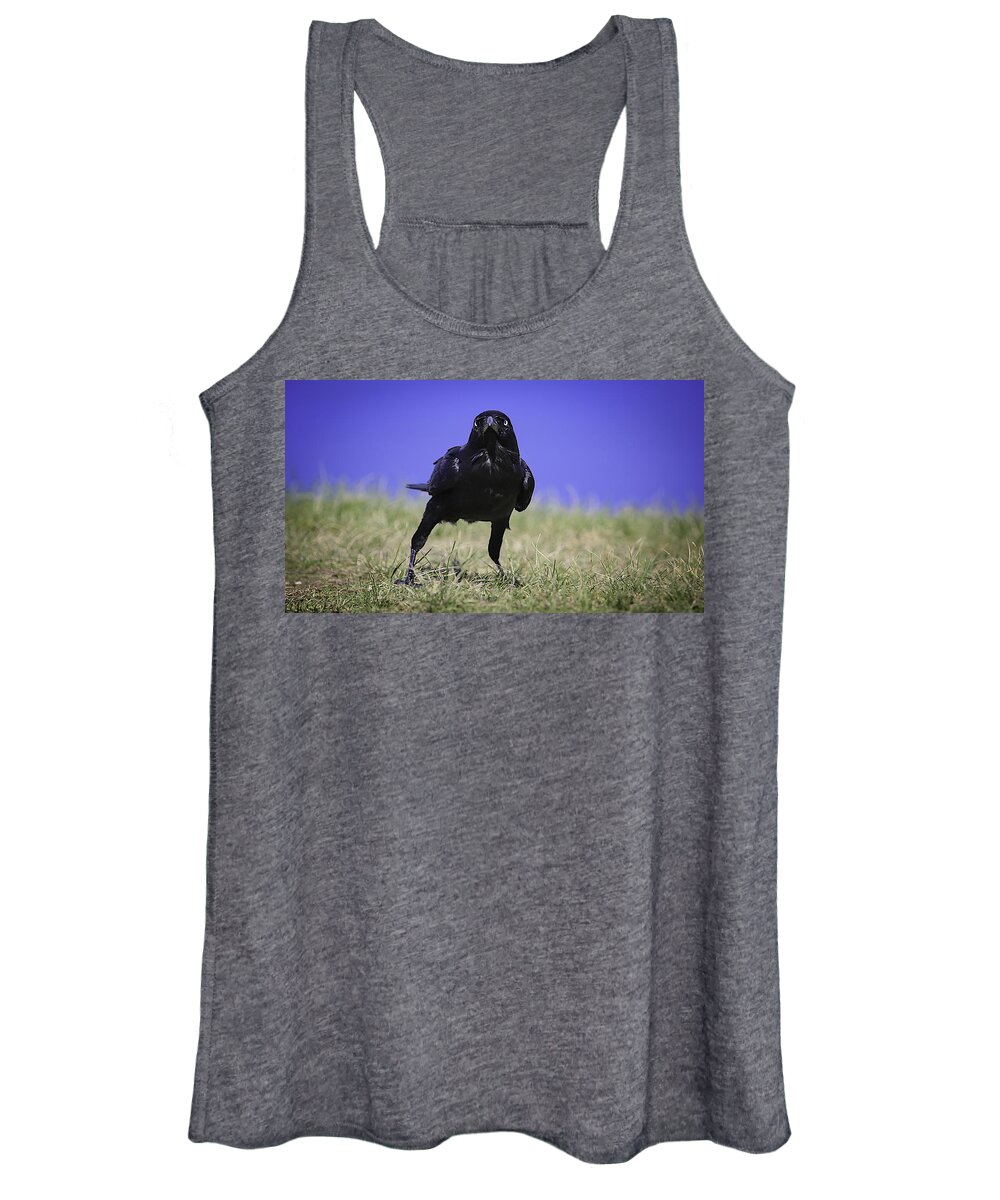 Wildlife Women's Tank Top featuring the photograph Menacing Crow by Chris Cousins