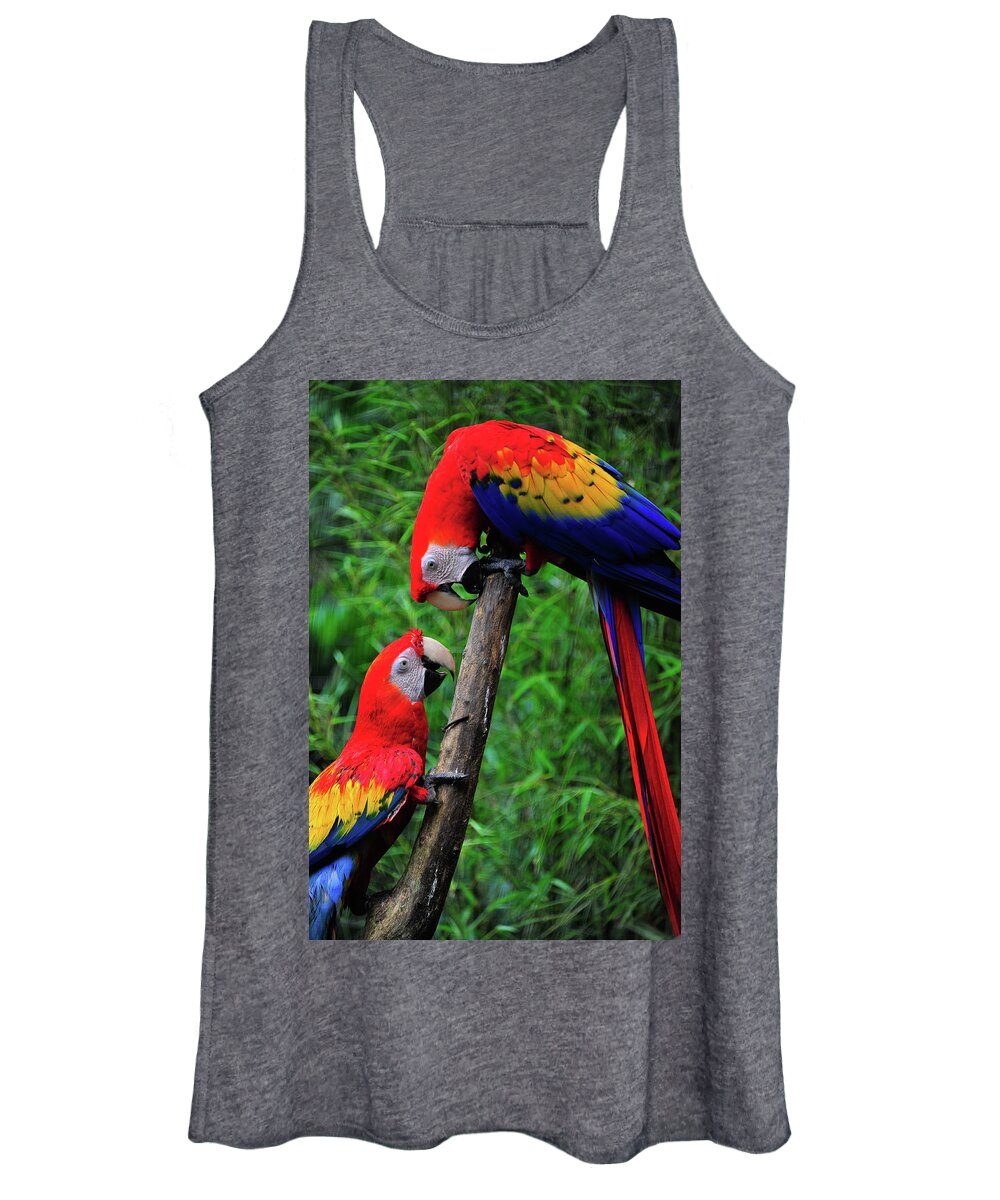  Bird Photographs Women's Tank Top featuring the photograph Meeting of the Macaws by Harry Spitz