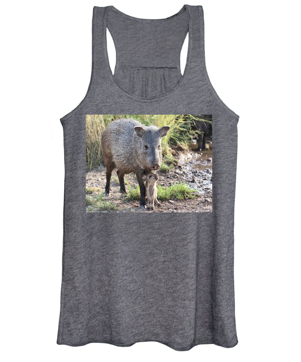 Arizona Women's Tank Top featuring the photograph Mother and Baby Javelina by Steve Wolfe