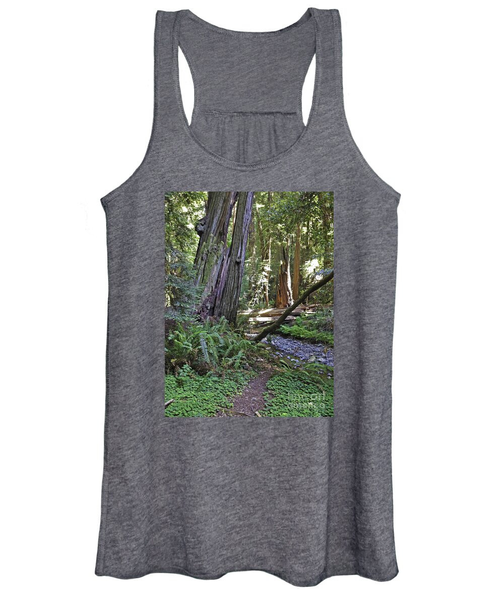 Trees Women's Tank Top featuring the photograph Muir Woods Beauty by Joyce Creswell